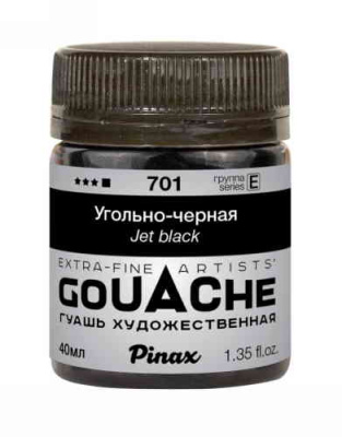 PINPAG-701