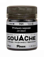 PINPAG-701