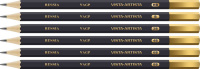 VAGPM-6_