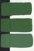PAG40-617