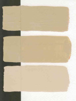 PINPAG-161