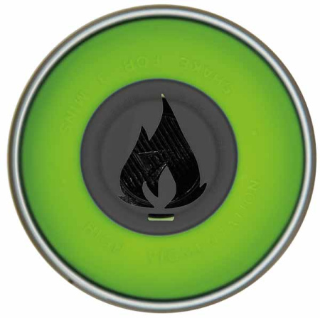 FLAME-Donut_642_kiwi