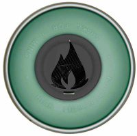 FLAME-Donut_609_sage